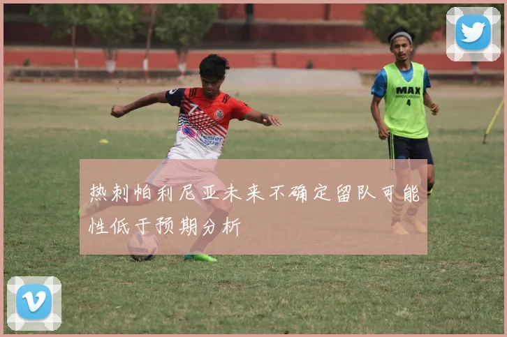 热刺帕利尼亚未来不确定留队可能性低于预期分析