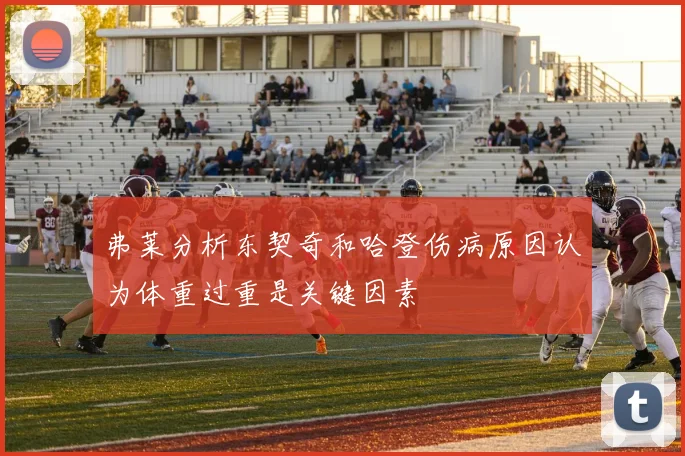 弗莱分析东契奇和哈登伤病原因认为体重过重是关键因素