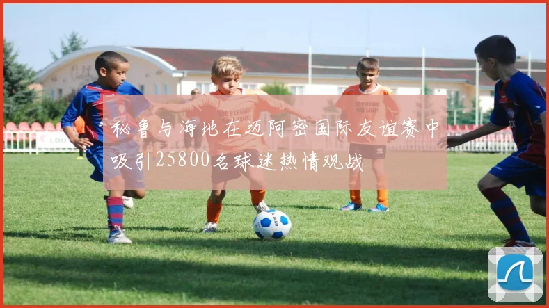 秘鲁与海地在迈阿密国际友谊赛中吸引25800名球迷热情观战